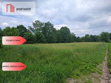 Sprzedam działkę 5000 m² w Dolinie Baryczy z lasem i zabudową działka Stara Huta