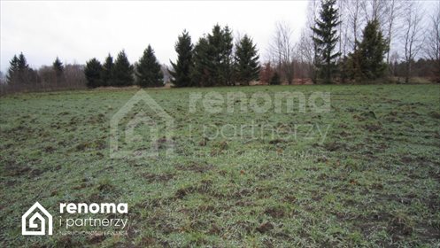 działka na sprzedaż 3110m2 działka Dąbki