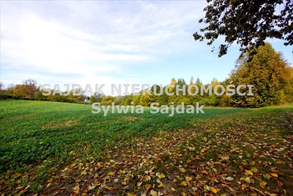 Na sprzedaż działka 6 700 m² w Jastrzębiu-Zdroju działka Jastrzębie-Zdrój
