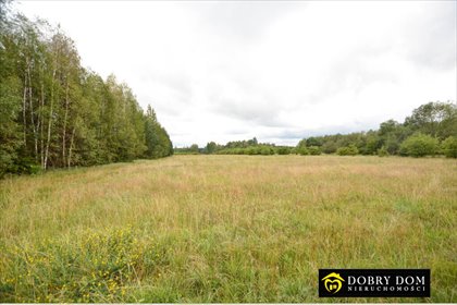 działka na sprzedaż 11300m2 działka Halickie