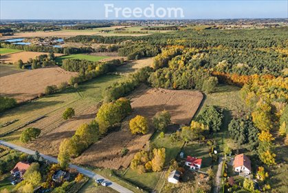 działka na sprzedaż 22809m2 działka Orzechów