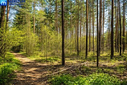 Malownicza działka 2000 m2 pod dom i inwestycję działka Adamów-Wieś