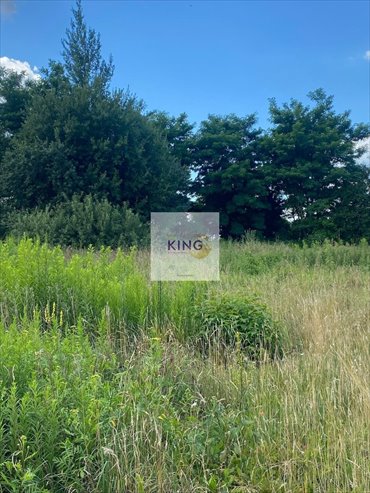 działka na sprzedaż 747m2 działka Czarna Łąka