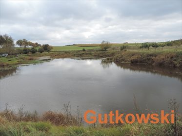 Działka gospodarstwo rolne na sprzedaż Montowo, gm. Grodziczno 60 900m2 Foto 2