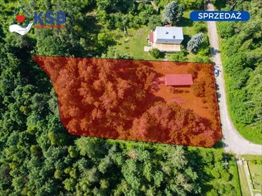 Przestronna działka budowlana z mediami i lasem. działka Ostrowiec Świętokrzyski, Las Rzeczki