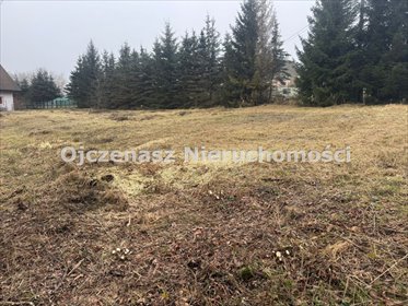 działka na sprzedaż 1000m2 działka Jeleń