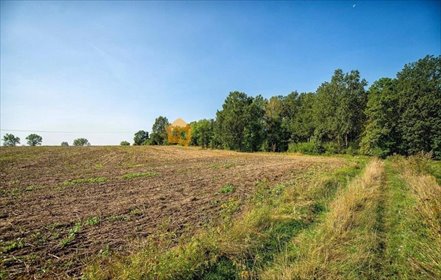 Na sprzedaż działka 842 m² pod zabudowę jednorodzinną w spokojnej okolicy działka Turów