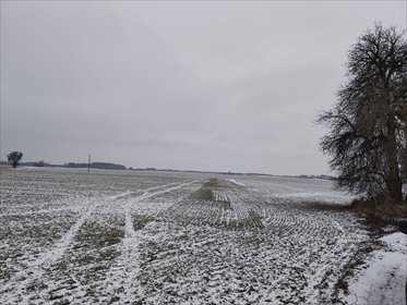 działka na sprzedaż 10000m2 działka Jerzykowo