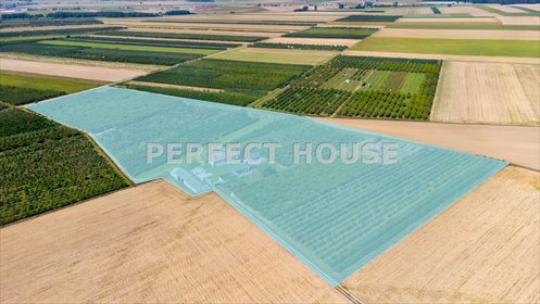 działka na sprzedaż 73427m2 działka Pyzdry