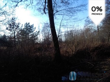 działka na sprzedaż 3200m2 działka Koryciska