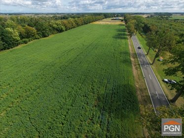 Polecam dużą działkę 7200 m² w Kamieniu Pomorskim działka KAMIEŃ POMORSKI