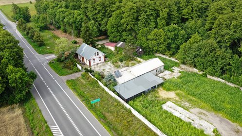 Grunt inwestycyjny 9 266 m² przy DK91 - Ogrodzona działka Ogrodzona