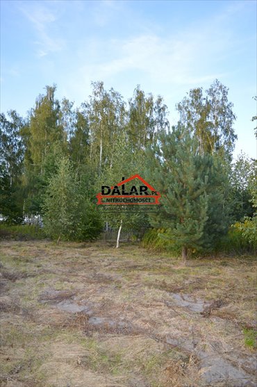 Działka 1000 m² w Tarczynie - spokój i bliskość natury. działka Tarczyn