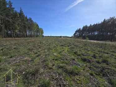 Polecam działkę 3000 m² z WZ, lasy, media, Słubice działka Słubice