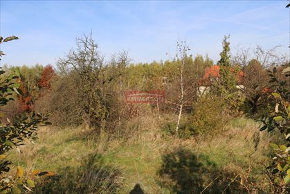 działka na sprzedaż 1188m2 działka Rożnowa