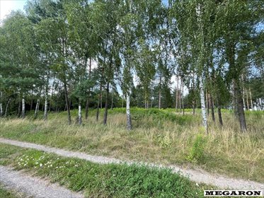 Sprzedam działkę 1216 m² w Wancerzowie z szerokim frontem działka Wancerzów