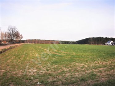 Na sprzedaż działka rolna z warunkami zabudowy i mediami w Lesznie działka Leszno