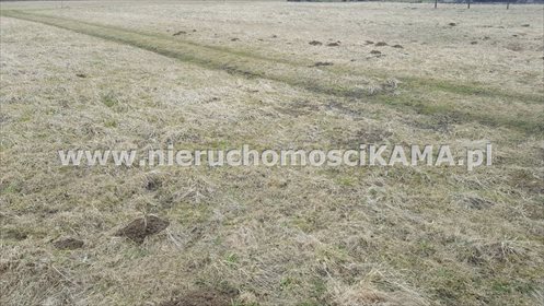 Działka inna pod dzierżawę Buczkowice 5 000m2 Foto 2