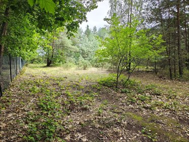150 zł/m2 w Sokolnikach-Lesie? TAK! działka Sokolniki-Las, Graniczna