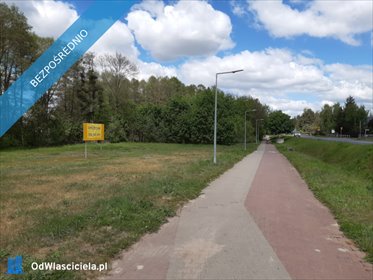 Sprzedam działkę 5913 m² z MPZP w Murowanej Goślinie działka Murowana Goślina, Poznańska/Gajowa