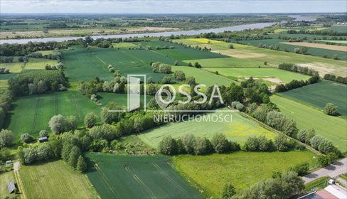 działka na sprzedaż 4827m2 działka Ostaszewo