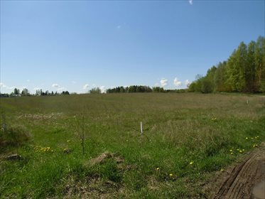 działka na sprzedaż 180000m2 działka Bojano, Wołoszyna