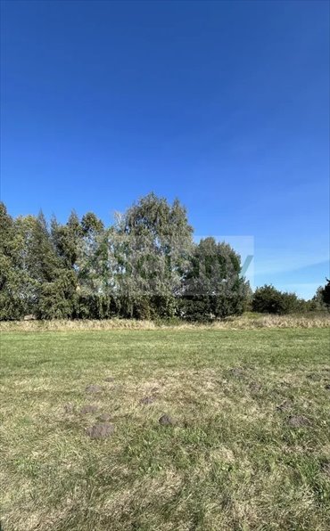 Na sprzedaż działka 5200 m² z mediami i warunkami zabudowy działka Kozery