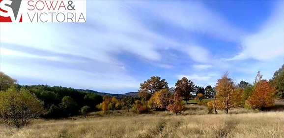 działka na sprzedaż 5000m2 działka Jugów
