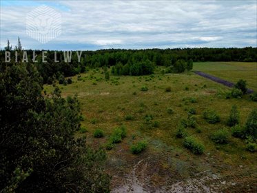 działka na sprzedaż 1200m2 działka Nowe Borsuki