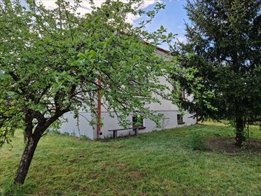 Działka siedliskowa na sprzedaż Sadowne 3 500m2 Foto 7