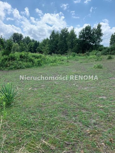 działka na sprzedaż 6000m2 działka Jastrzębie-Zdrój, Szotkowice, Centrum