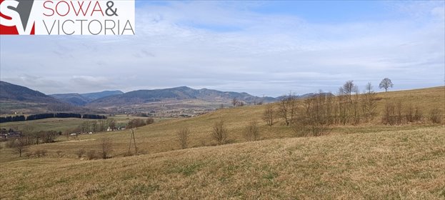 Działka budowlana z widokiem, prąd, las - polecam działka Głuszyca