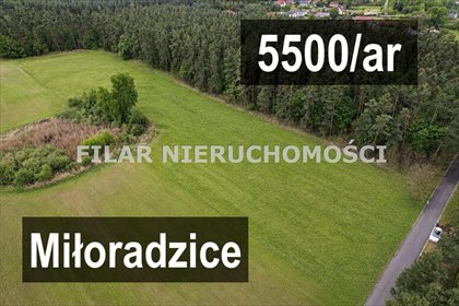 Działki budowlane w Miłoradzicach – blisko natury! działka Miłoradzice
