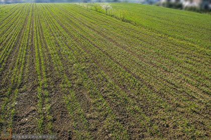 Działka budowlana 9,01 ara w Prądniku Białym zapraszam działka Kraków, Prądnik Biały, Tonie