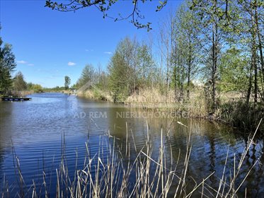 działka na sprzedaż 1100m2 działka Sumin, Sumin, Grabniak, Urszulin
