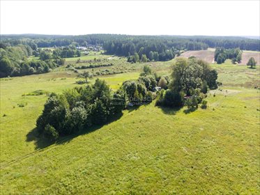 Działka budowlana na sprzedaż Międzyrzecze 4 900m2 Foto 2