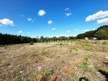 działka na sprzedaż 3000m2 działka Popielżyn-Zawady