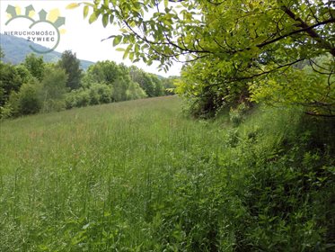 działka na sprzedaż 2800m2 działka Międzybrodzie Bialskie