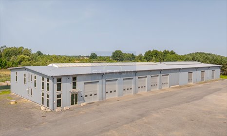 lokal użytkowy na wynajem 1150m2 lokal użytkowy Osiny