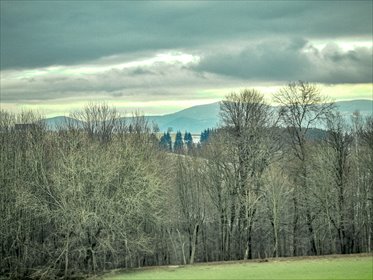 działka na sprzedaż 1500m2 działka Gniewoszów