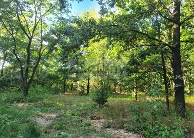 Działka 1100 m² z pozwoleniem na budowę - polecam! działka Żółwin