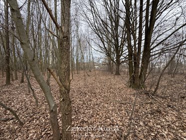 Działka budowlana na sprzedaż Milanówek, Chrzanów, Księżycowa 2 003m2 Foto 6