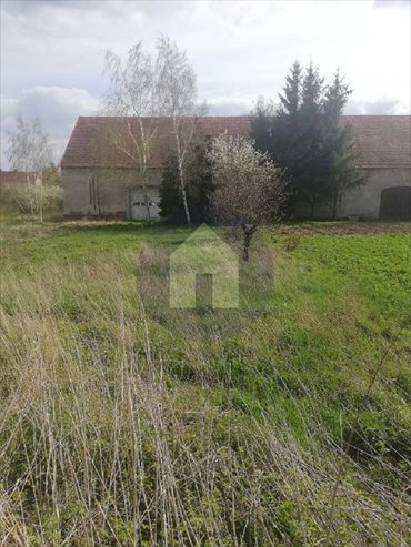 Działka budowlana na sprzedaż Grzybiany 1 000m2 Foto 4