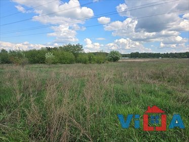działka na sprzedaż 5150m2 działka Zielona Góra, Zawada
