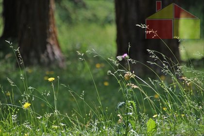 działka na sprzedaż 2957m2 działka Żary