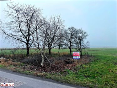 działka na sprzedaż 2000m2 działka Uszczyn