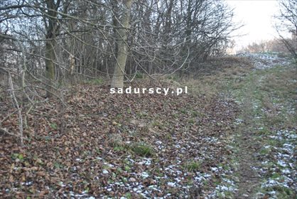 Działka inwestycyjna na sprzedaż Czarnochowice 1 900m2 Foto 4