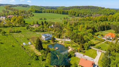 Polecam luksusową rezydencję 280 m² w Wałbrzychu z potencjałem biznesowym dom Wałbrzych, Wilcza