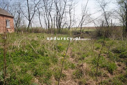 Działka inna na sprzedaż Rudno Górne 21 010m2 Foto 2