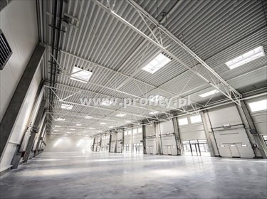 magazyn na wynajem 230m2 magazyn Sosnowiec